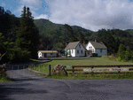 Karangahake2_thumb.gif