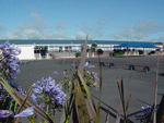 Karangahake3_thumb.gif